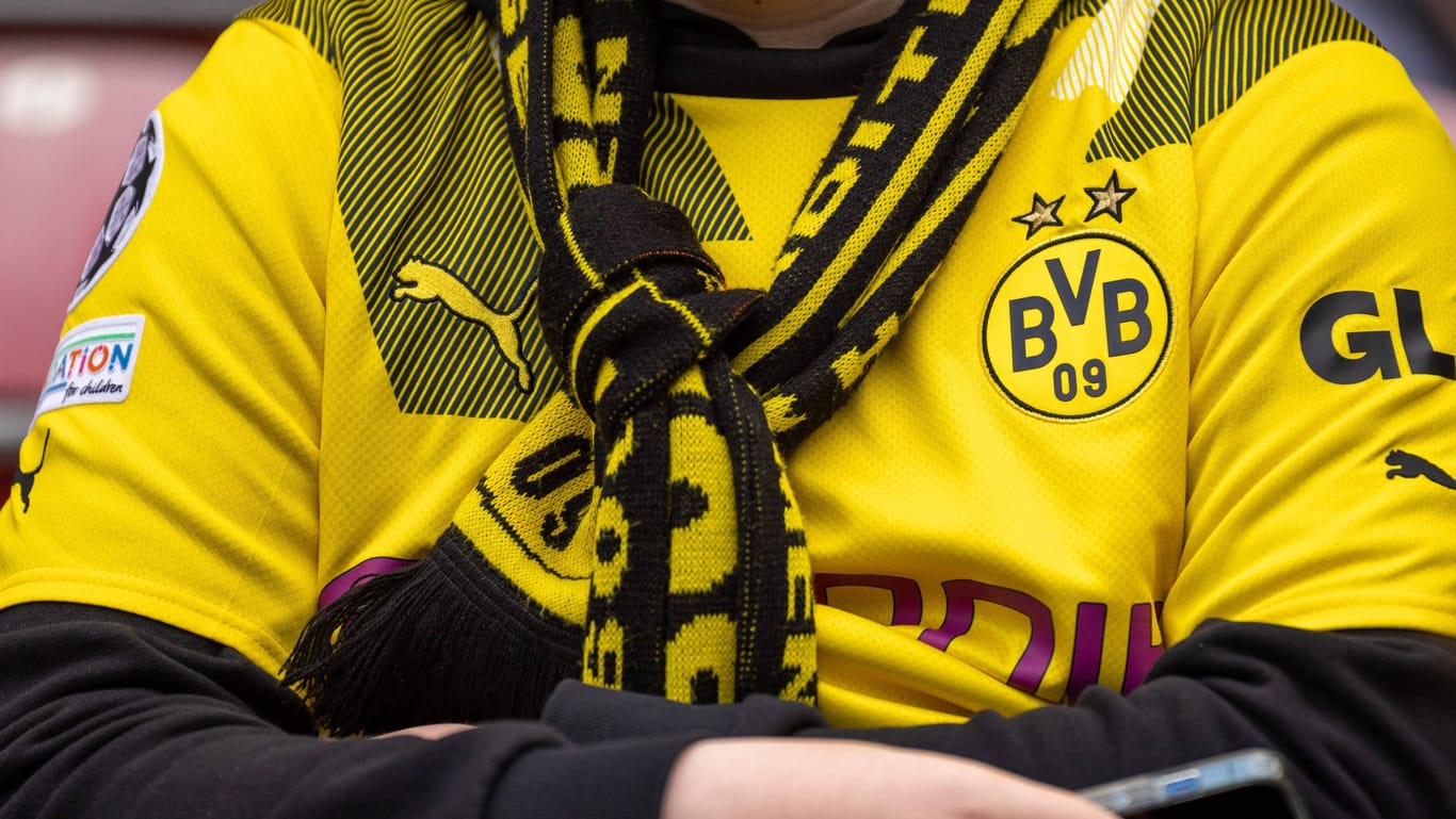 Ein Dortmund-Anhänger trägt Trikot und Schal seines Vereins (Symbolfoto): In Rostock wurde ein BVB-Fan überfallen.