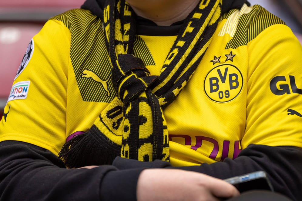 Ein Dortmund-Anhänger trägt Trikot und Schal seines Vereins (Symbolfoto): In Rostock wurde ein BVB-Fan überfallen.