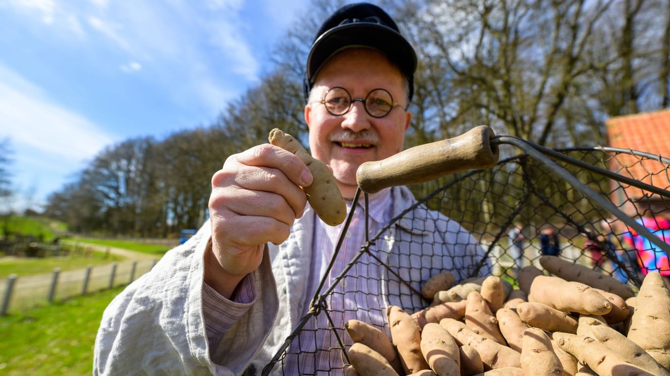 Ein Mann hält den "Angeliter Tannenzapfen" in den Händen: Die Sorte gewann den diesjährigen Preis als "Kartoffel des Jahres".