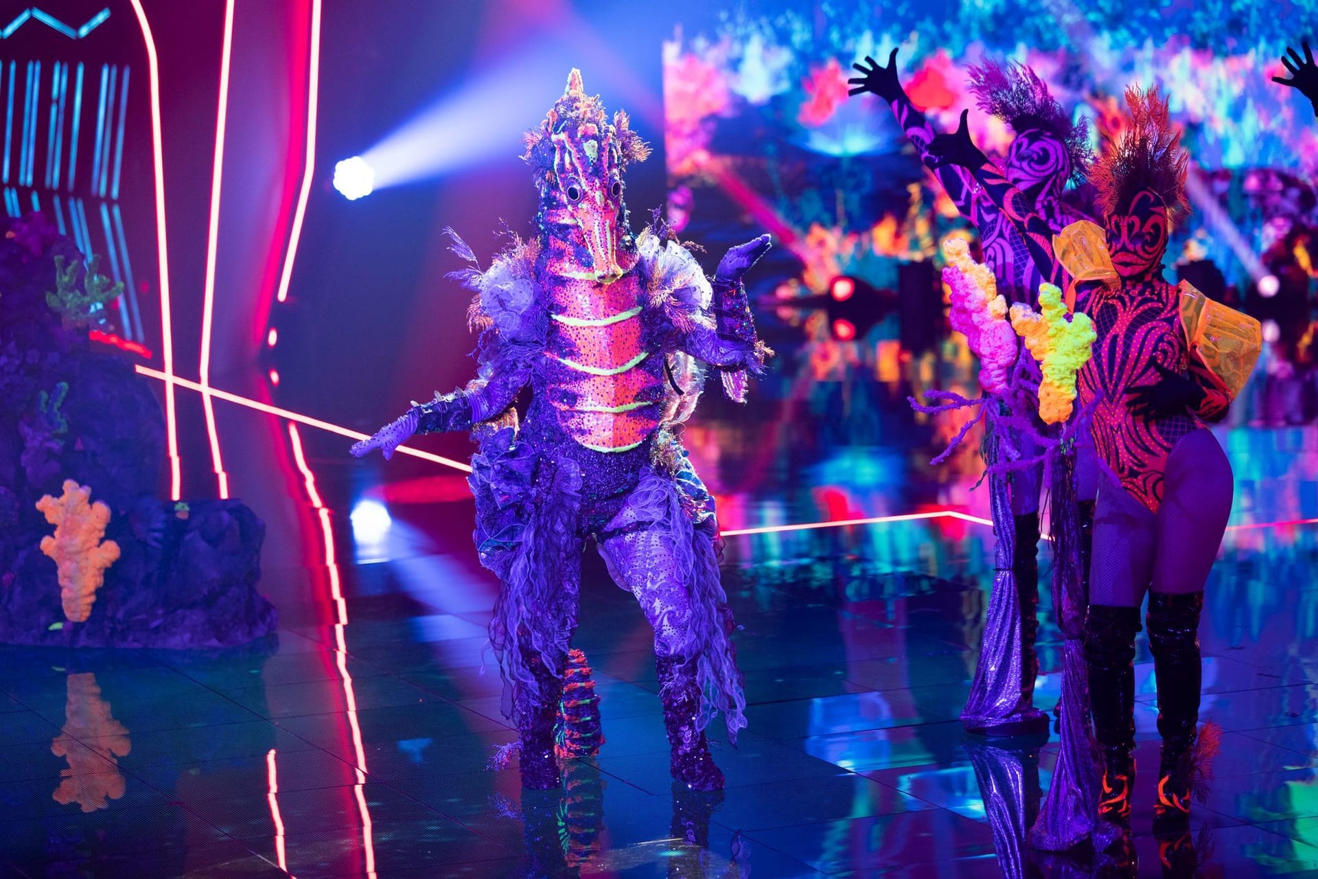 Die Figur "Das Seepferdchen" steht bei "The Masked Singer" auf der Bühne. Jetzt wurde das Geheimnis gelüftet.