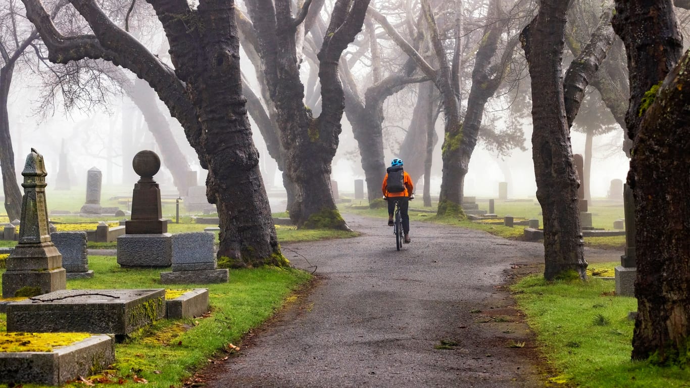 Ein Radfahrer auf einem Friedhof (Symbolfoto): Der Mann wird von Zeugen als korpulent und etwa 30 bis 40 Jahre alt beschrieben.