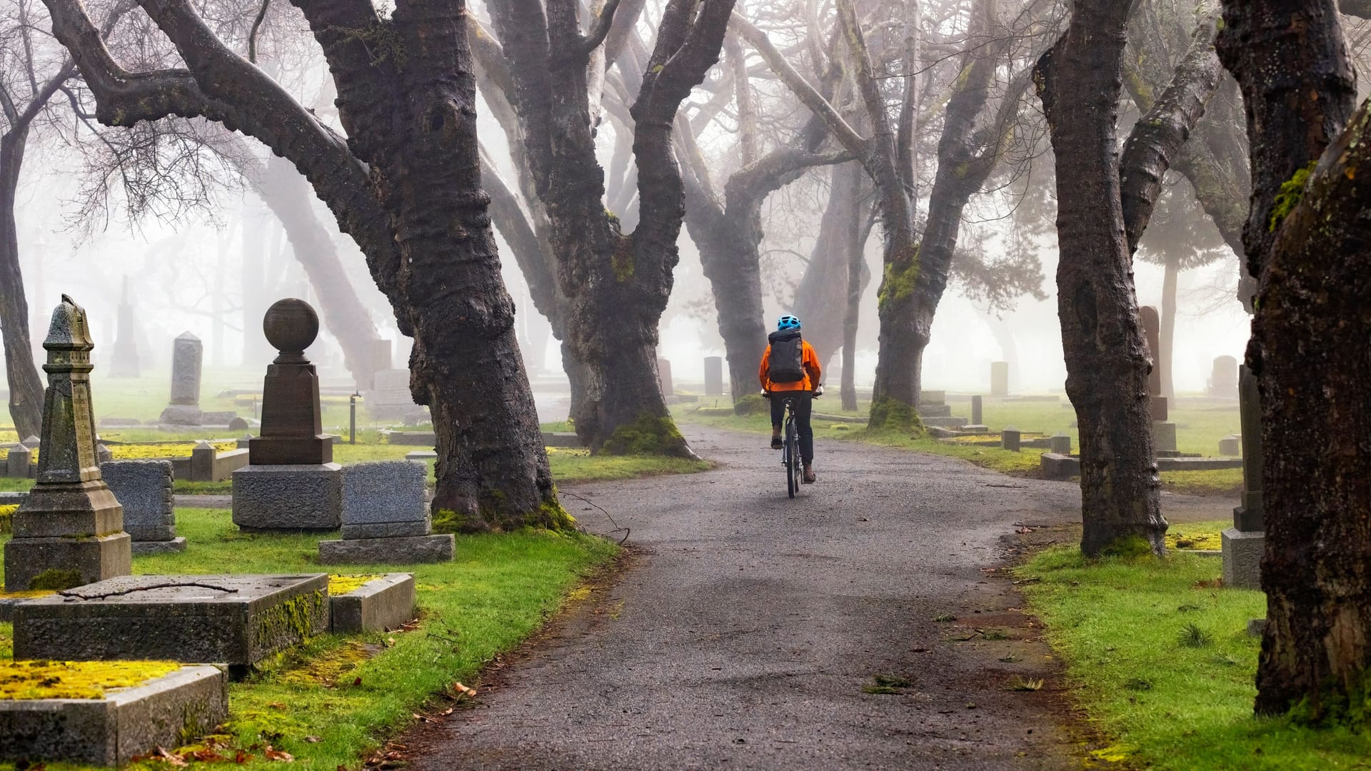 Ein Radfahrer auf einem Friedhof (Symbolfoto): Der Mann wird von Zeugen als korpulent und etwa 30 bis 40 Jahre alt beschrieben. Ein Radfahrer auf einem Friedhof (Symbolfoto): Der Mann wird von Zeugen als korpulent und etwa 30 bis 40 Jahre alt beschrieben.