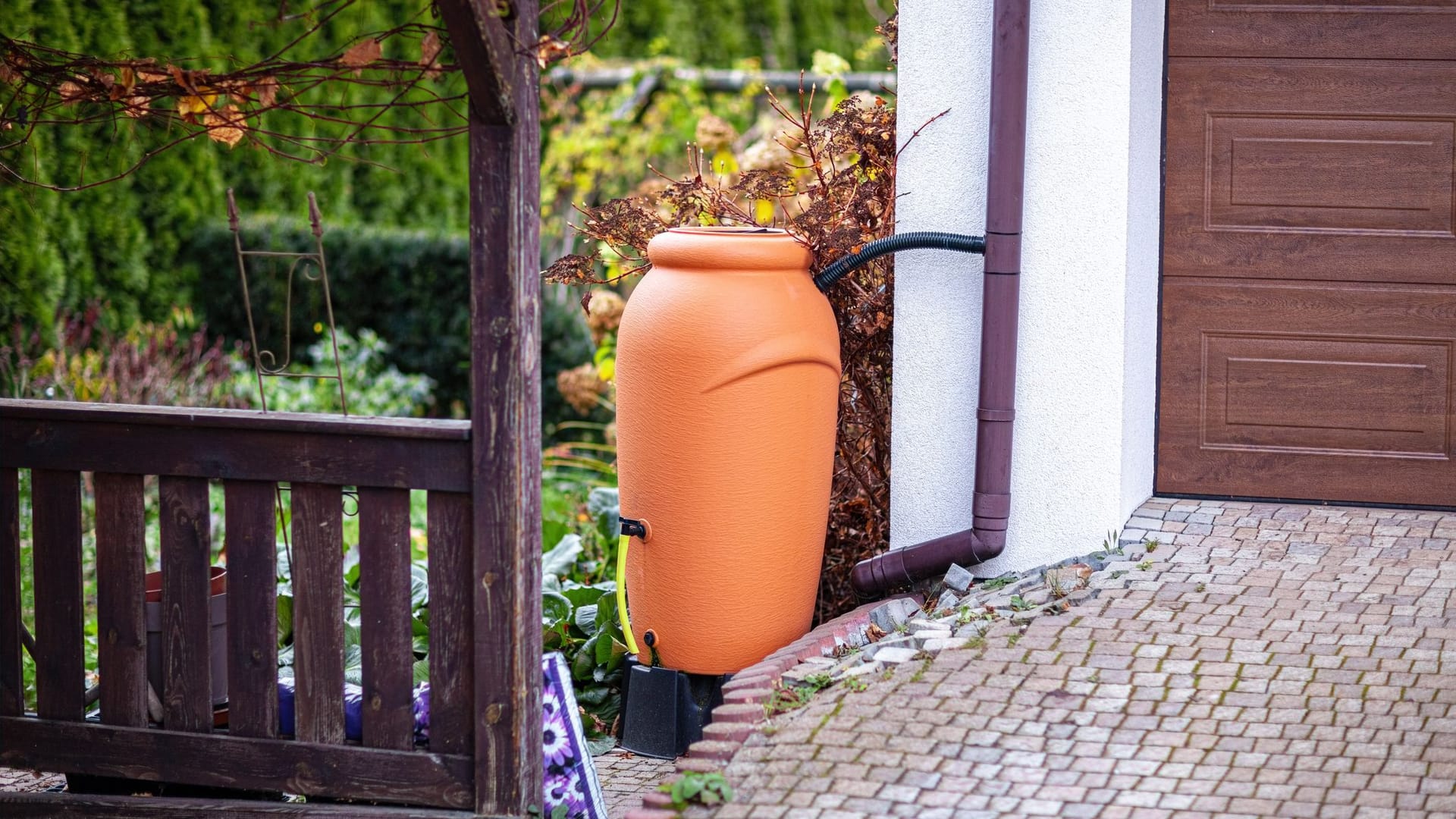 Regentonnen im Vergleich: Mit diesen Modellen sammeln Sie schnell und einfach Regenwasser.