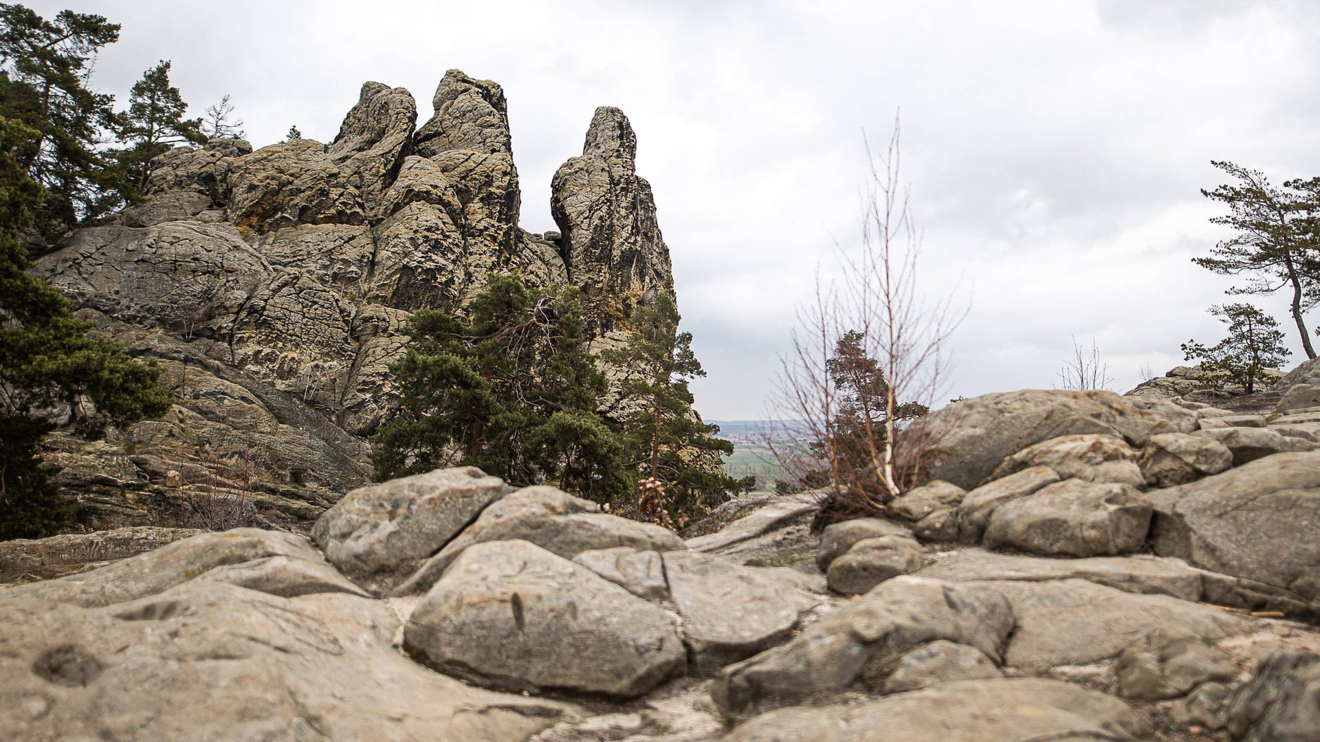 Der Harz bei Blankenburg: Treibt hier ein "Wolfsmensch" sein Unwesen?