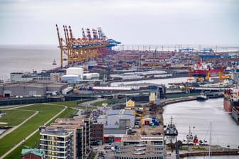 Der Überseehafen mit Containerterminal in Bremerhaven (Archivfoto): Hier sollen die Verdächtigen kiloweise Koks aus einem Container geholt haben.