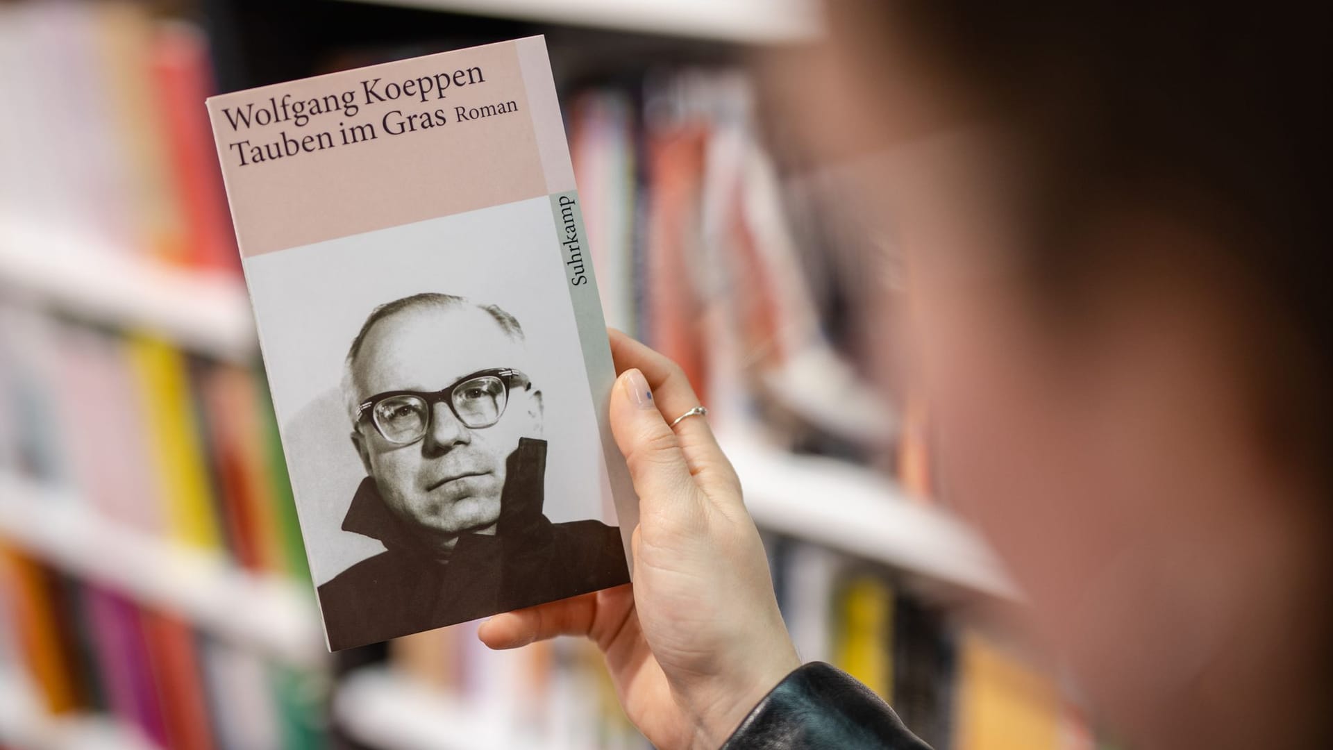 Buch «Tauben im Gras»