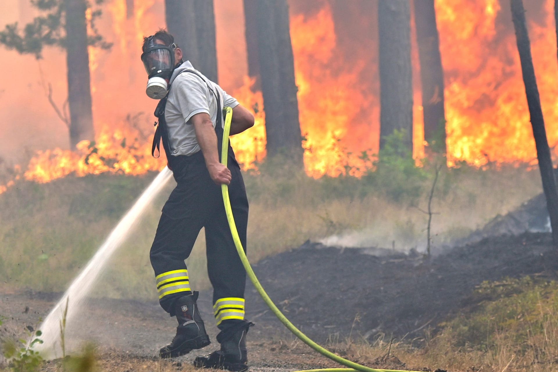 Feuerwehrmann kämpft gegen Waldbrand im Sommer 2022: Dürre und Hitze nehmen durch die Klimakrise zu – damit steigt das Risiko für verheerende Feuer in den Wäldern.