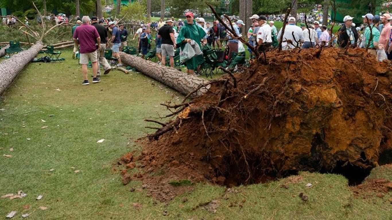 Einer der entwurzelten Bäume in Augusta: Er verfehlte die Zuschauer nur knapp.