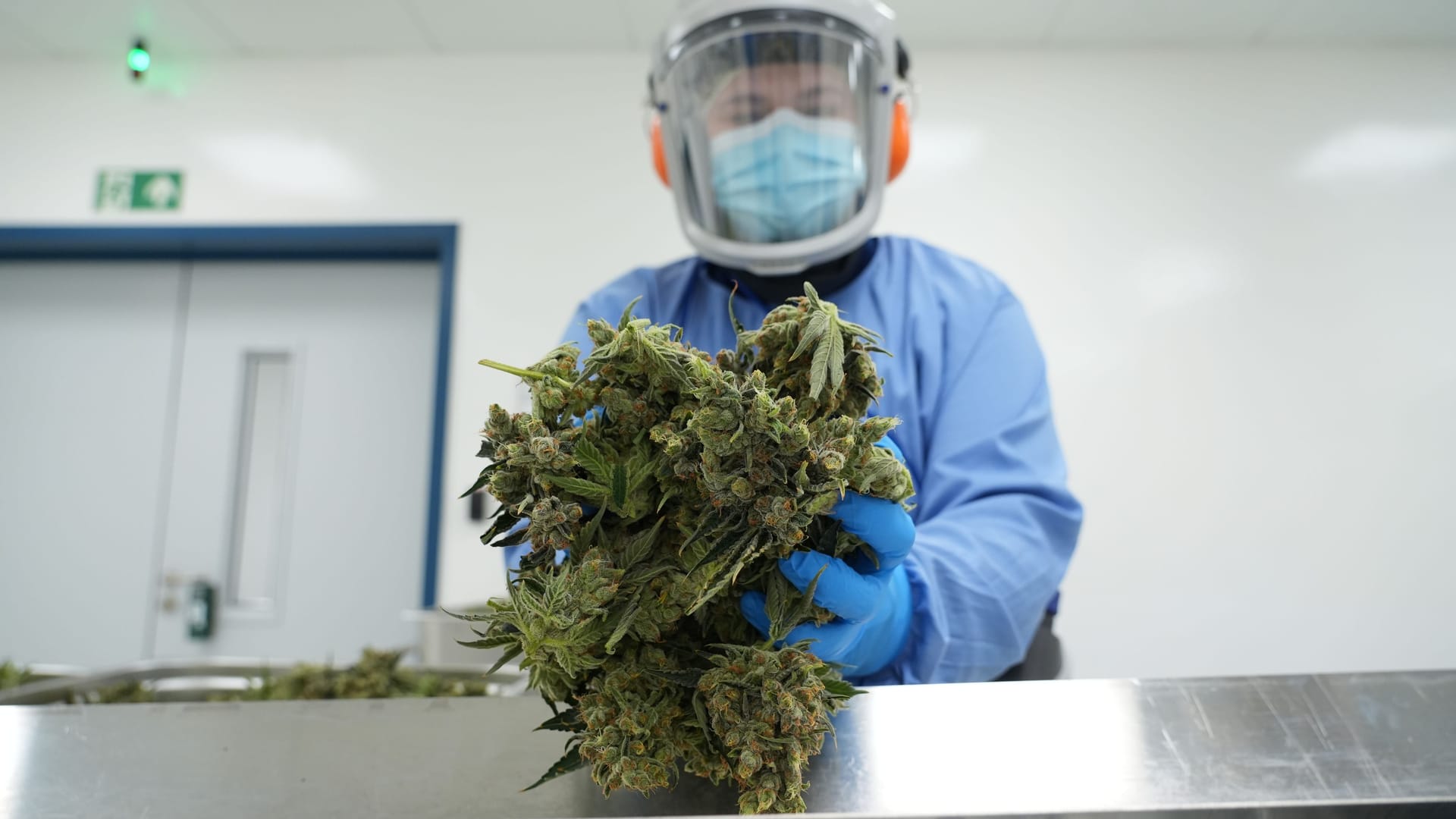 Demecan Fabrik bei Dresden Cannabis