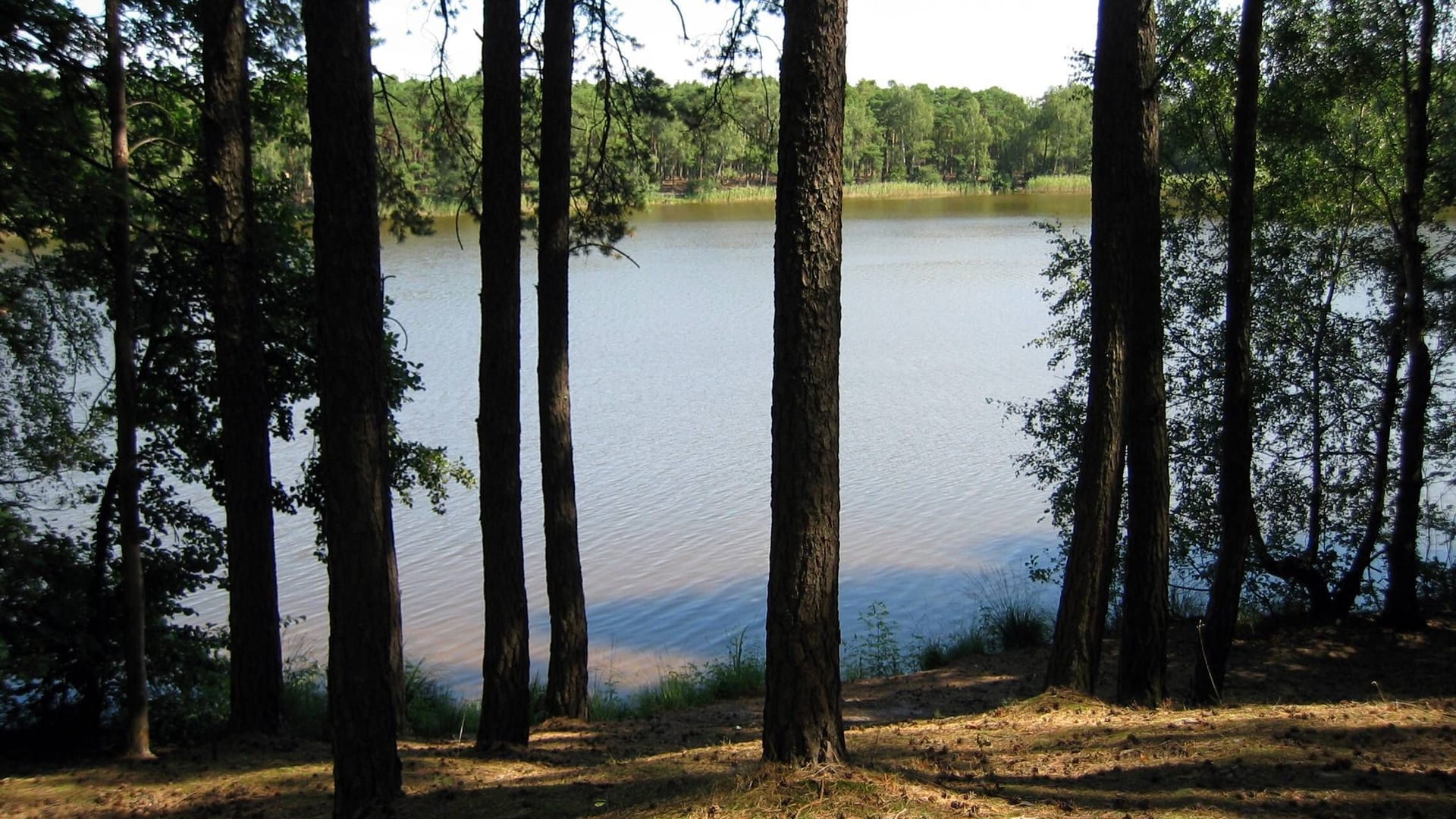 Ufer am Frauensee bei Gräbendorf in Brandenburg: Die Schüler wollten sich in Brandenburg auf eine Matheprüfung vorbereiten.