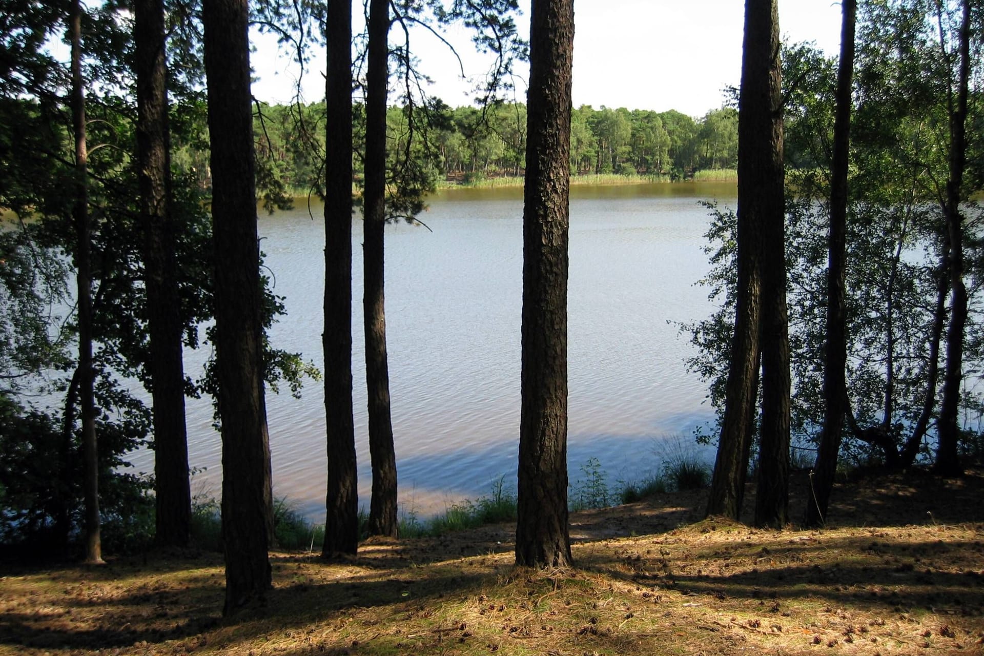 Ufer am Frauensee bei Gräbendorf in Brandenburg: Die Schüler wollten sich in Brandenburg auf eine Matheprüfung vorbereiten.