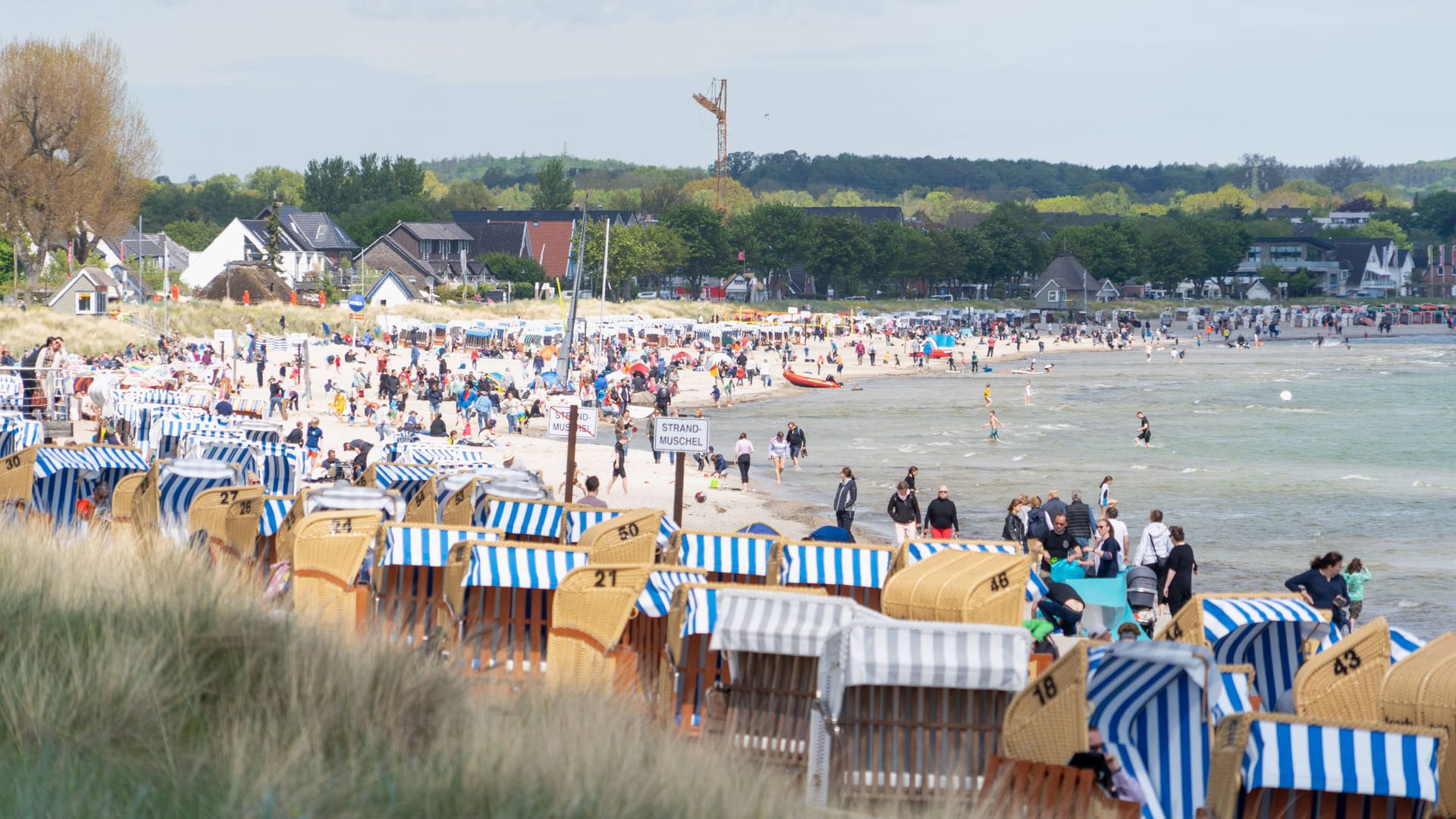 Touristen an der Lübecker Bucht: Dieser Teil der Ostsee ist von den Nationalpark-Plänen ausgenommen. Touristen an der Lübecker Bucht: Dieser Teil der Ostsee ist von den Nationalpark-Plänen ausgenommen.