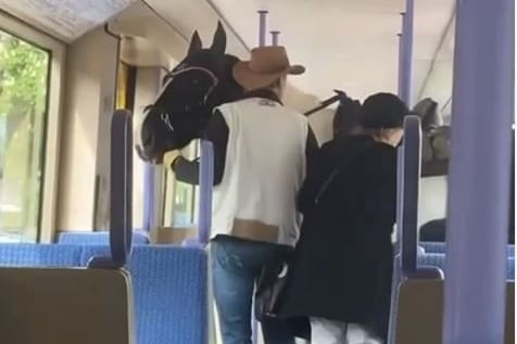 Die Aufnahmen zeigen den Mann in der Stadtbahn: Das Video wurde schnell zum Internethit.