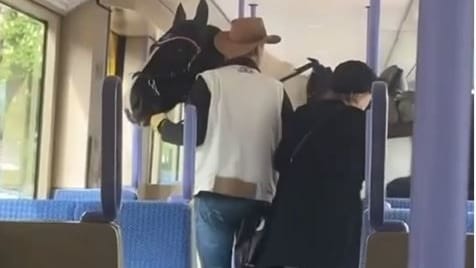 Die Aufnahmen zeigen den Mann in der Stadtbahn: Das Video wurde schnell zum Internethit. Die Aufnahmen zeigen den Mann in der Stadtbahn: Das Video wurde schnell zum Internethit.