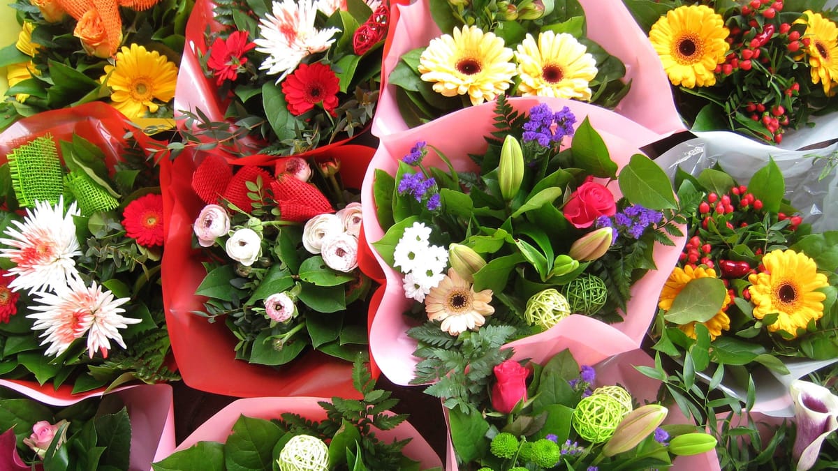 Muttertag Diese Blumenläden in Hannover haben sonntags