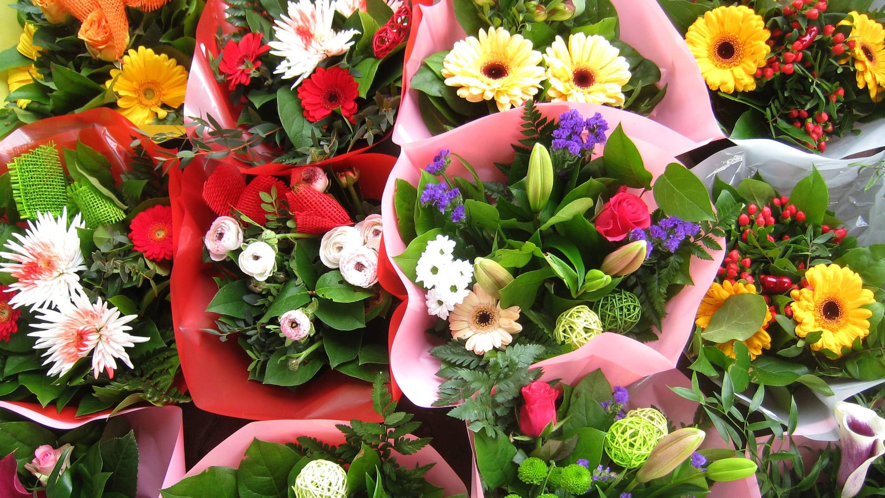 Muttertag Diese Blumenläden in Hannover haben sonntags