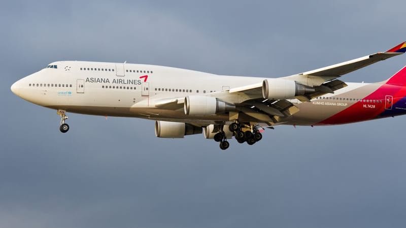 Asiana Airlines (Archivbild): Ein Mann sorgte beim Landeanflug einer Maschine in Daegu für einen Vorfall.
