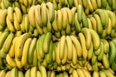 "Es landen noch zu viele Bananenschalen im Hausmüll"