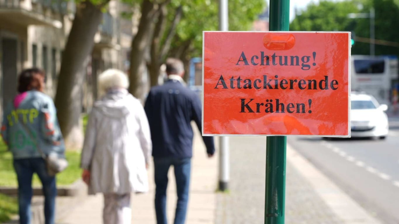 Ein Schild in der Dresden-Wilsdruffer Vorstadt: Eine Frau erlitt eine Kopfverletzung.