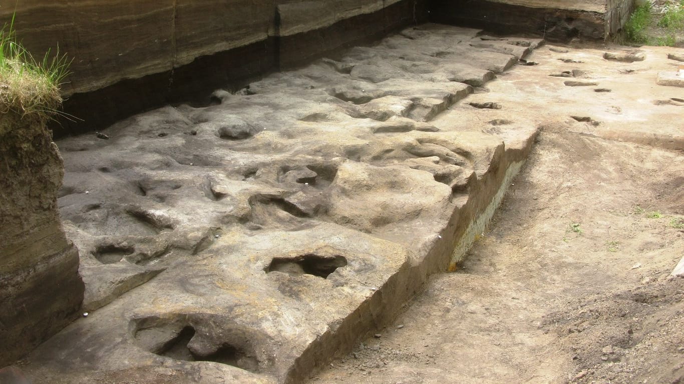 Fußspuren in Schöningen: Die Abdrücke sollen rund 300.000 Jahre alt sein.