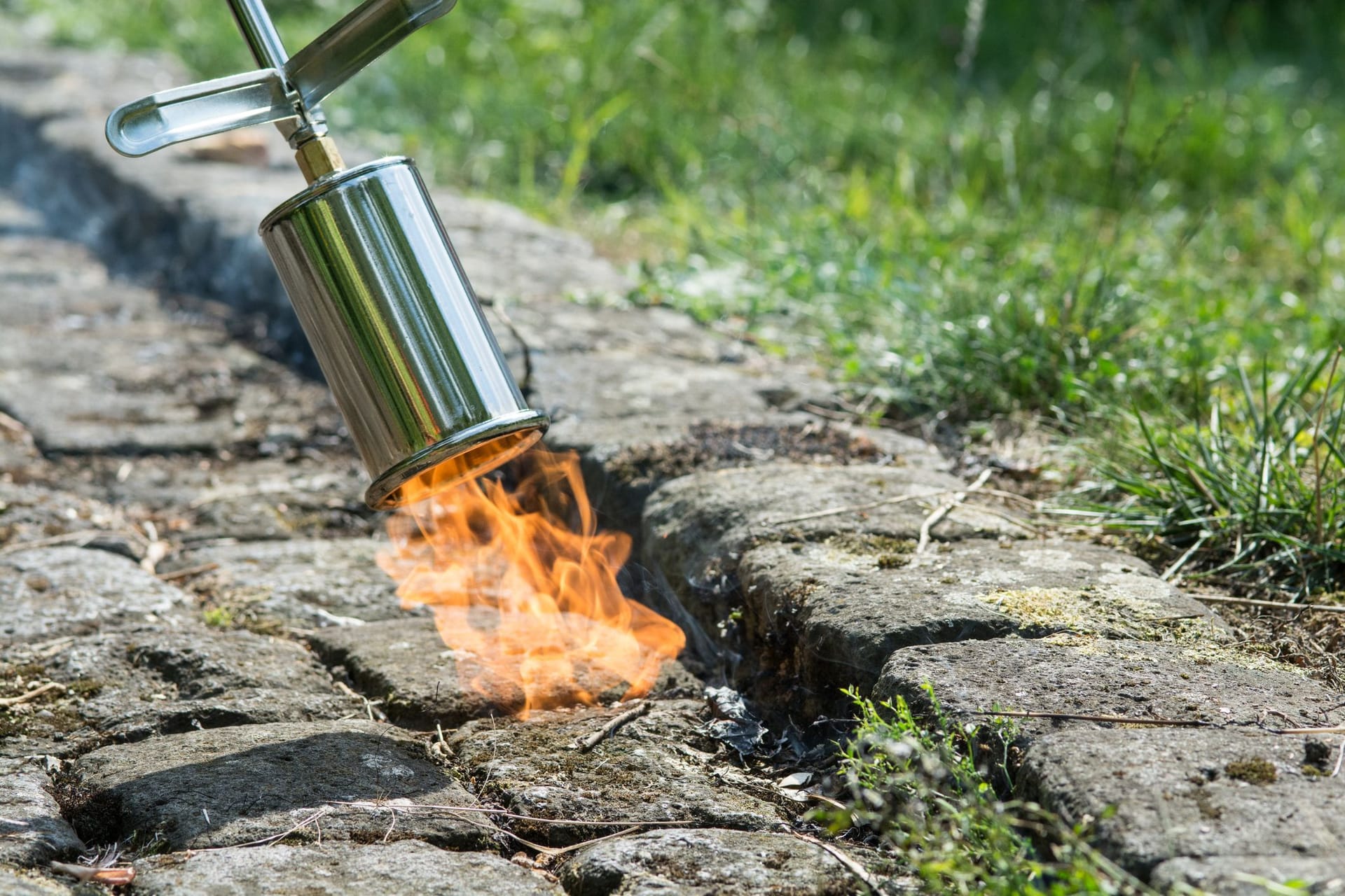 Auf Gehwegen können Sie ohne Chemikalien das Unkraut abflammen.