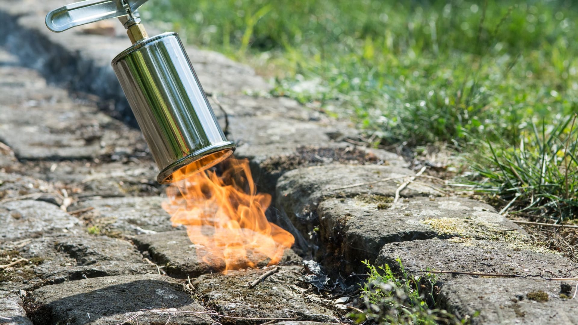 Auf Gehwegen können Sie ohne Chemikalien das Unkraut abflammen.