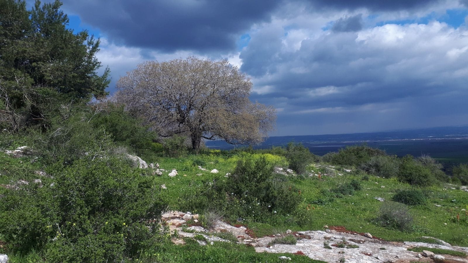 Eine begrünte Wiese vor einem dunkelblauen Himmel: Neue Wanderwege in Israel und Tschechien.