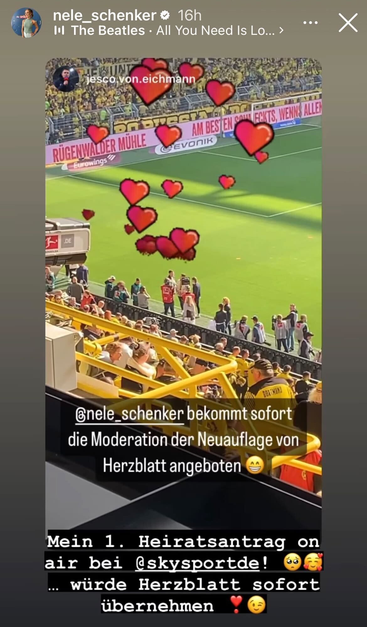 Die Story von Nele Schenker auf Instagram: Sie kommentierte den Antrag eines BVB-Fans.