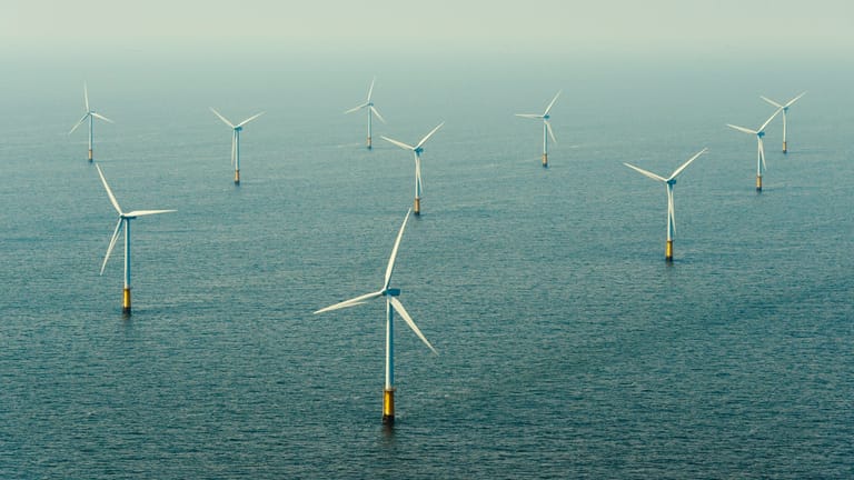 Windpark in Egmond aan Zee (Archivbild): Zum Schutz von Zugvögeln wurden die Windräder in den Niederlanden erstmals gestoppt.