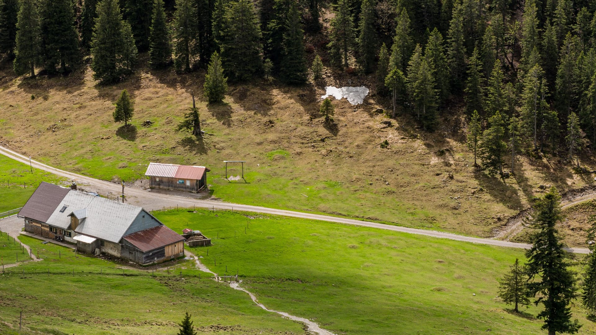 Die Jocheralm am Jochberg in den bayerischen Alpen (Archivbild): Hier hoch kommt man nur zu Fuß.