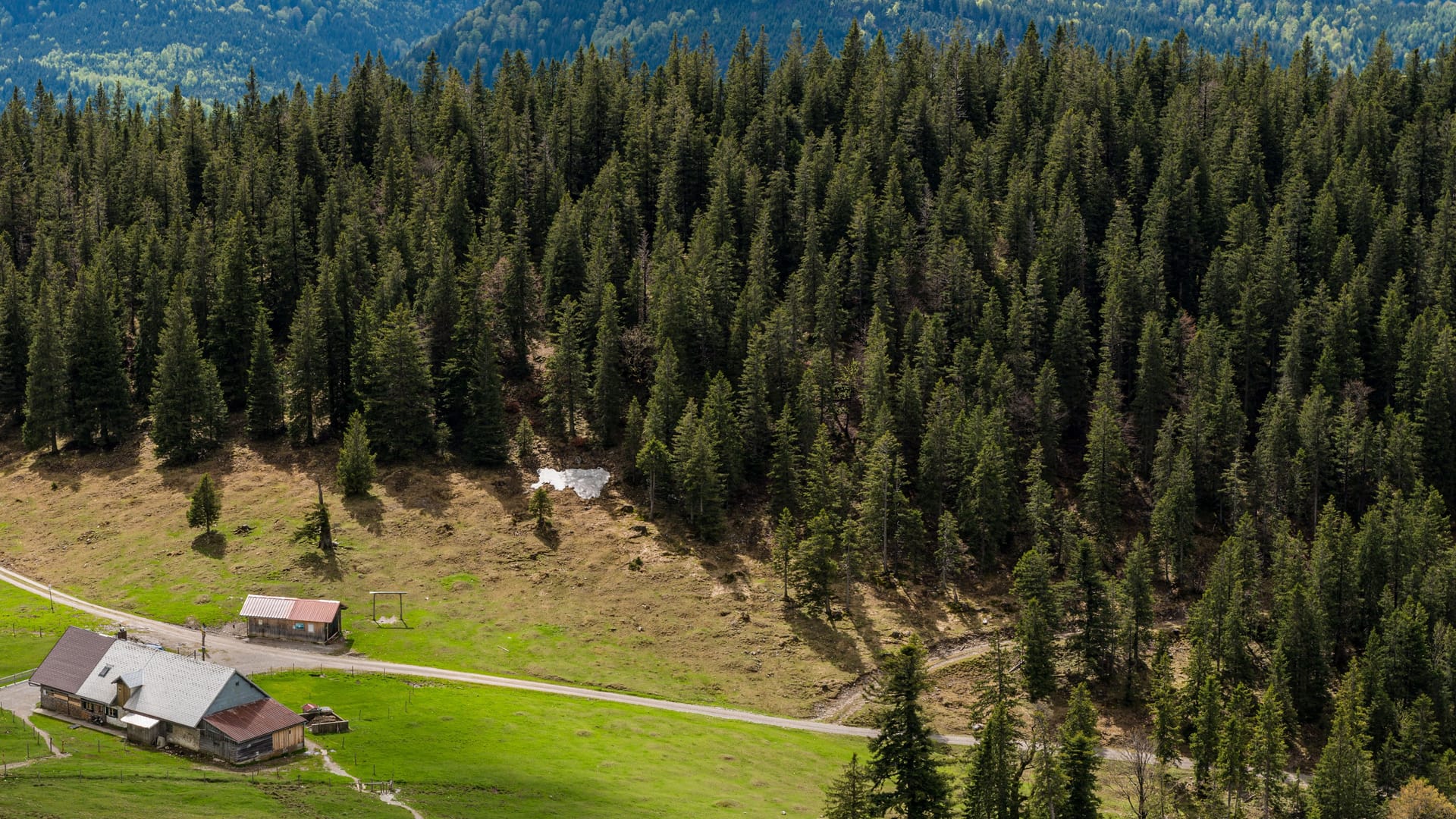 Die Jocheralm am Jochberg in den bayerischen Alpen (Archivbild): Hier hoch kommt man nur zu Fuß.