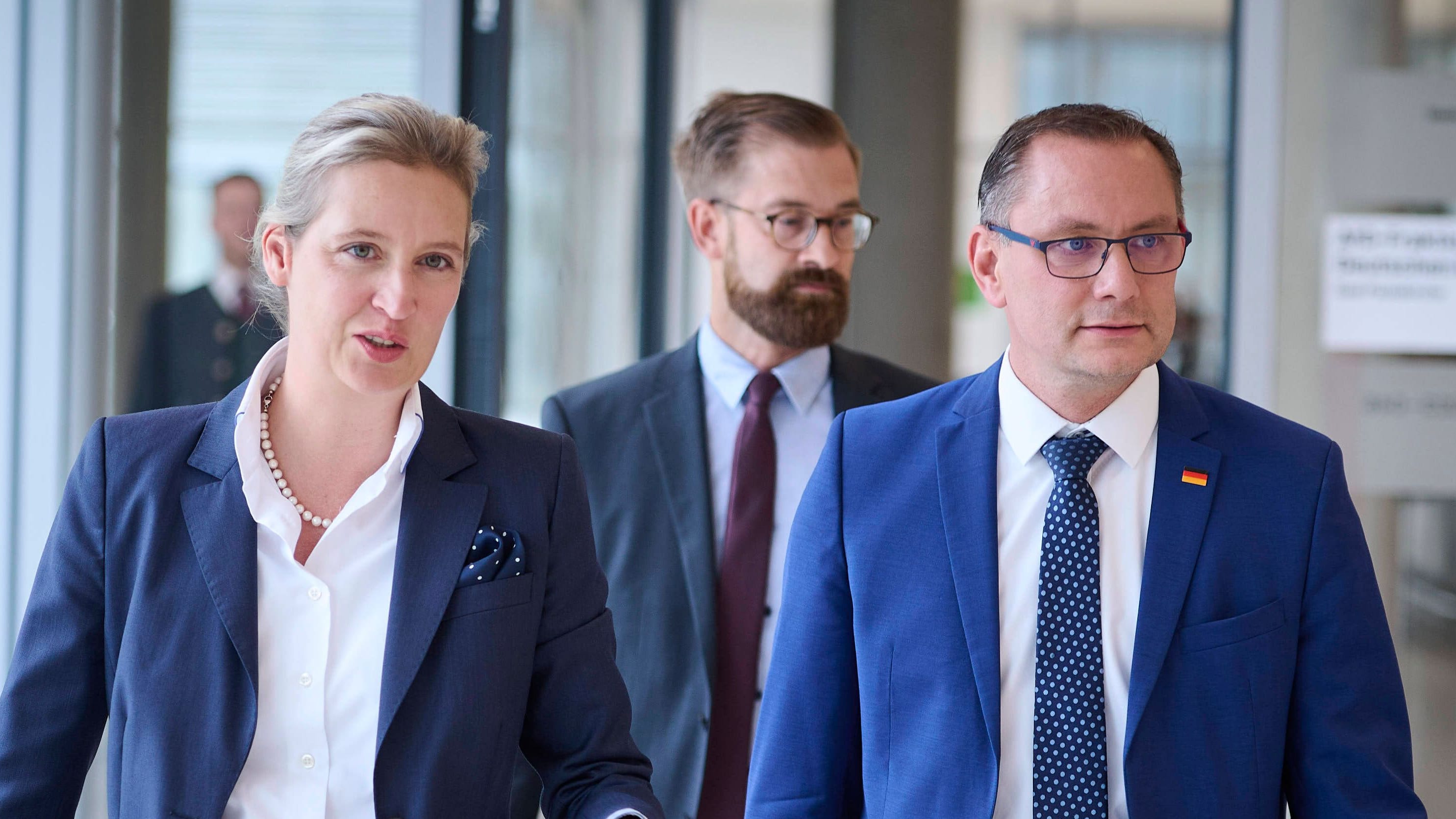 AfD in Umfrage gleichauf mit SPD – Union bleibt stärkste Kraft