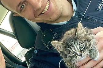 Die Retter und die Katze: Eine Polizeistreife brachte das Jungtier in Sicherheit. Die Retter und die Katze: Eine Polizeistreife brachte das Jungtier in Sicherheit.