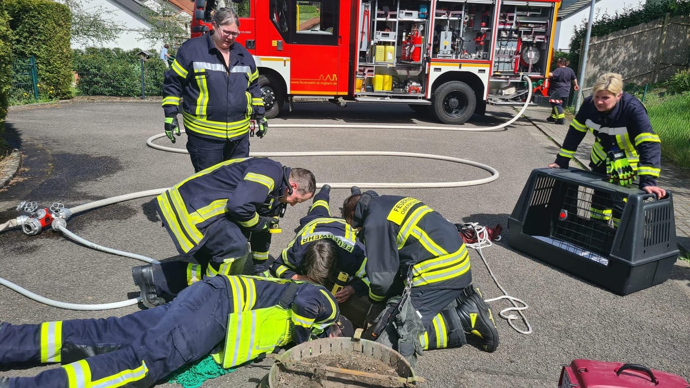 Einsatzkräfte auf Fuchs-Suche: Etwa eineinhalb Stunden dauerte der Einsatz.