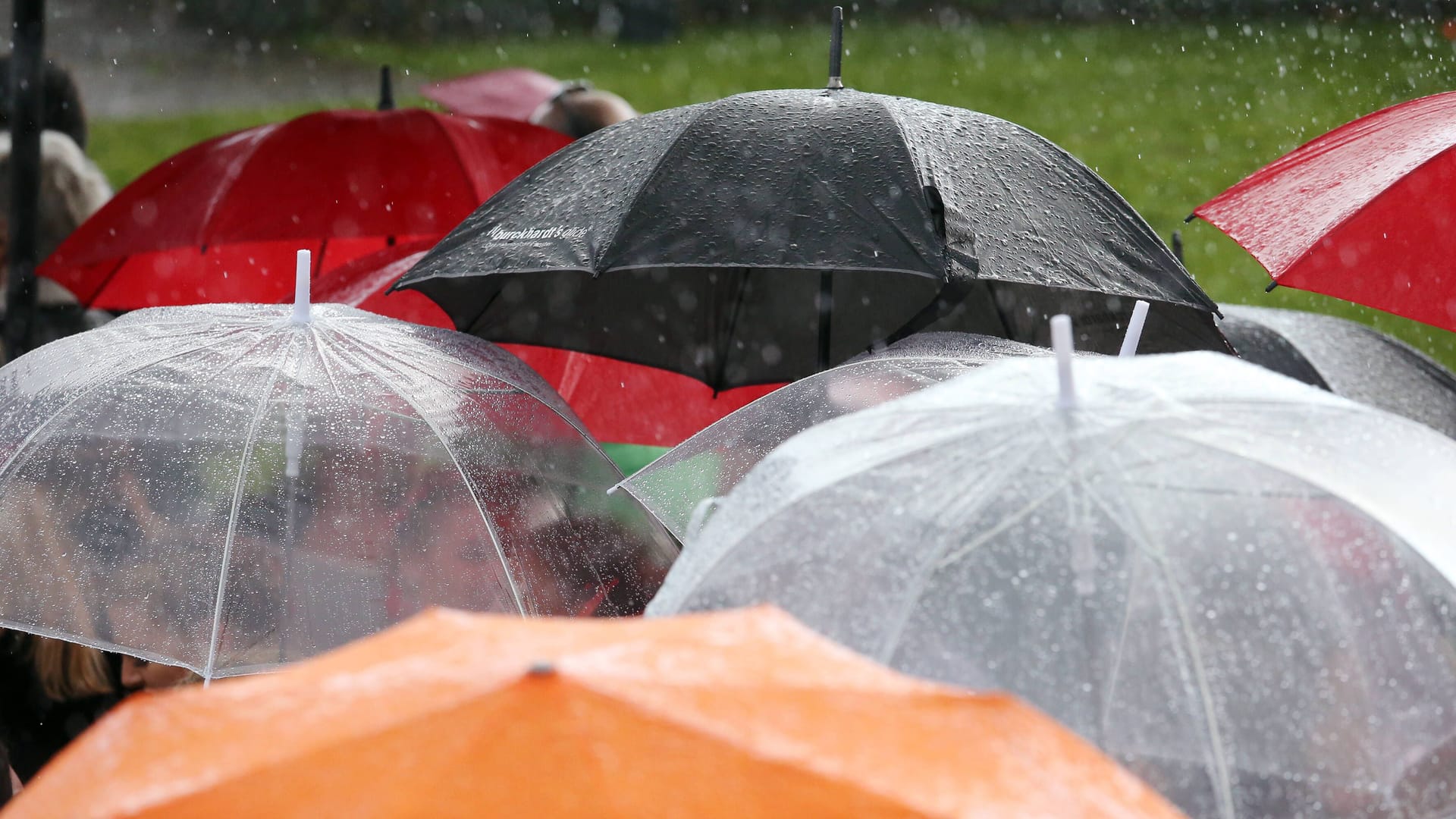 Regen in Hannover (Archivbild): Es wird ungemütlich in Niedersachsen.