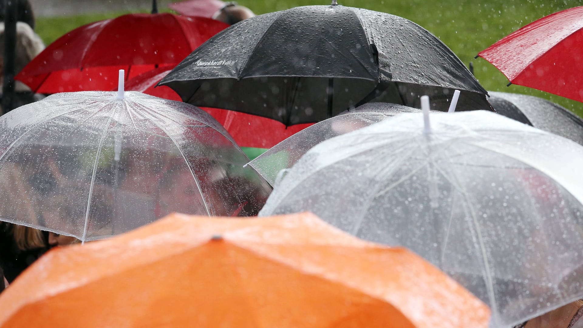 Regen in Hannover (Archivbild): Es wird ungemütlich in Niedersachsen.