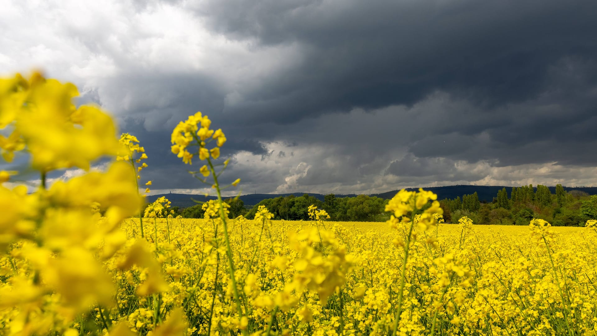 Dunkle Wolken (Symbolbild):