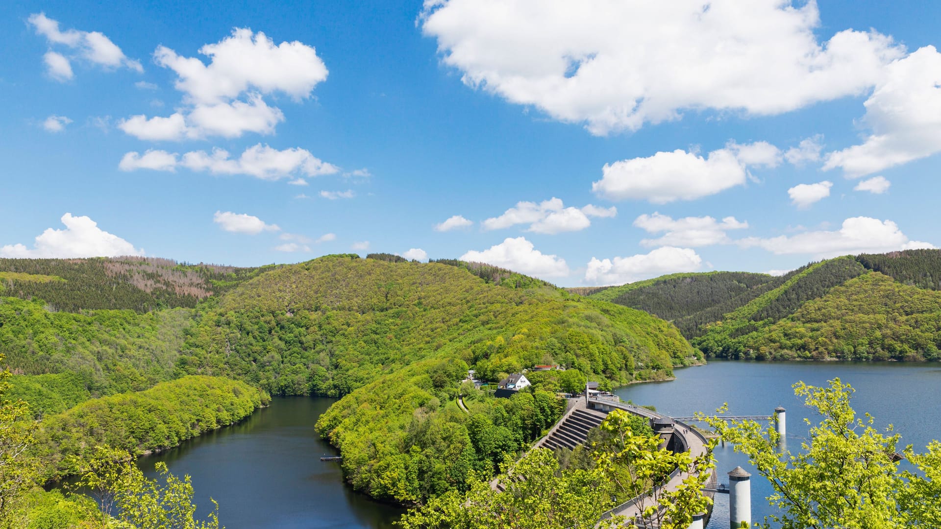 Seen in Nationalpark Eifel: Die Urlaubsregion ist laut einer Umfrage nicht sonderlich beliebt.