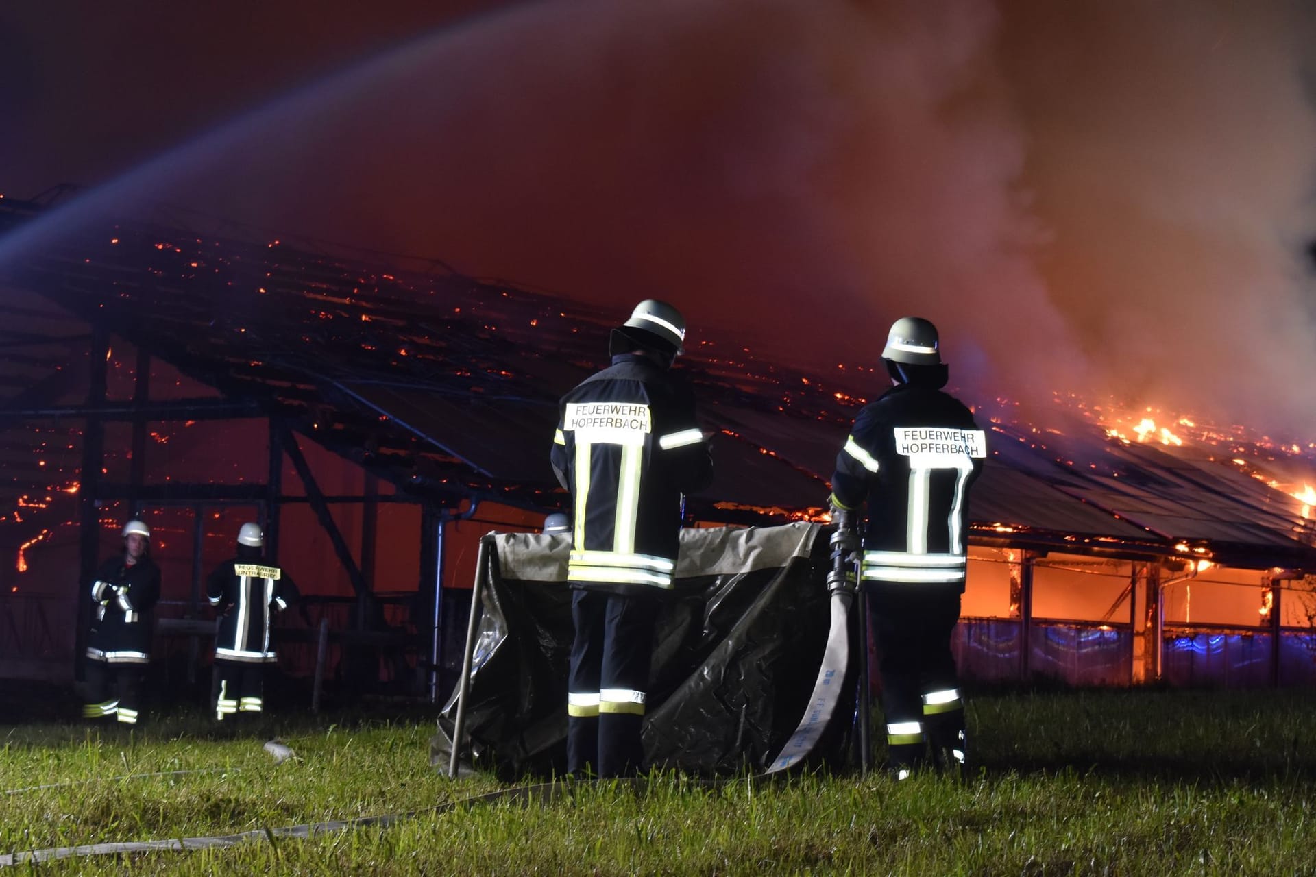 Untrasried: Bei dem Stallbrand sollen nur acht Tiere überlebt haben.