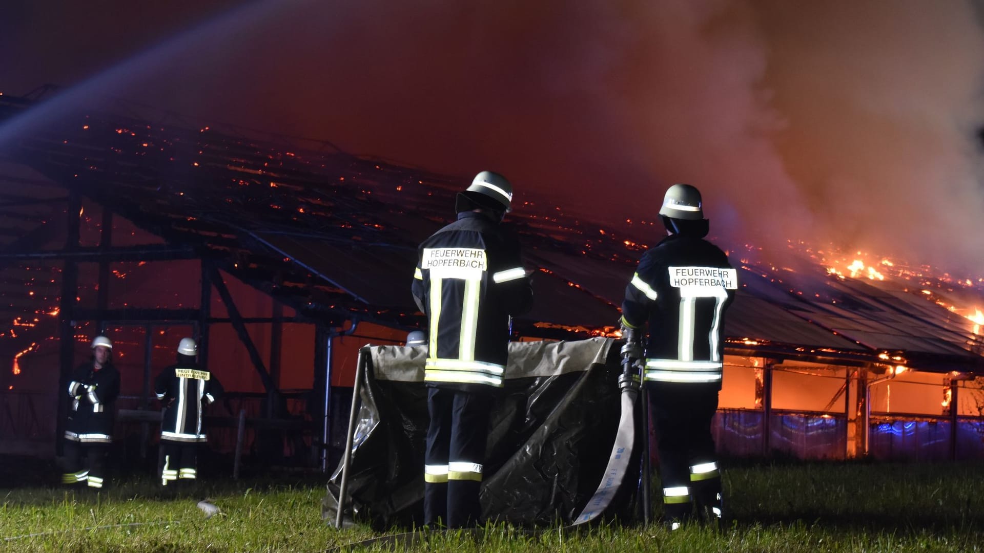 Untrasried: Bei dem Stallbrand sollen nur acht Tiere überlebt haben.