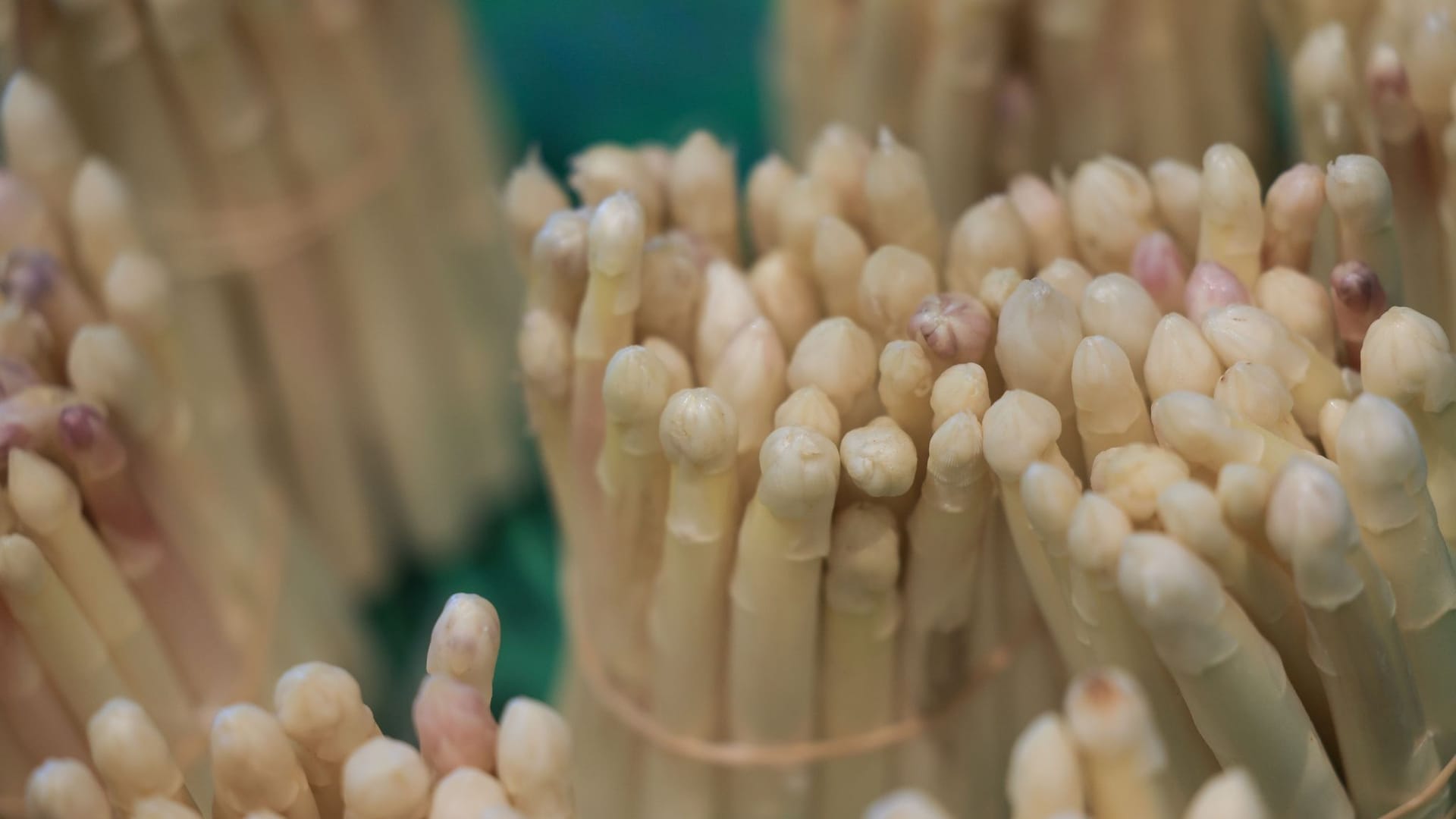 Spargel Spargel