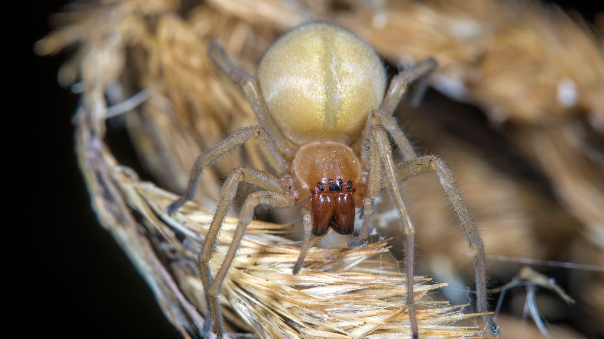 imago images 168142455
