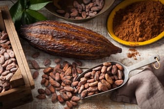 In seiner ursprünglichen Form ist Kakao keineswegs ungesund, sondern sehr vitalstoffreich.