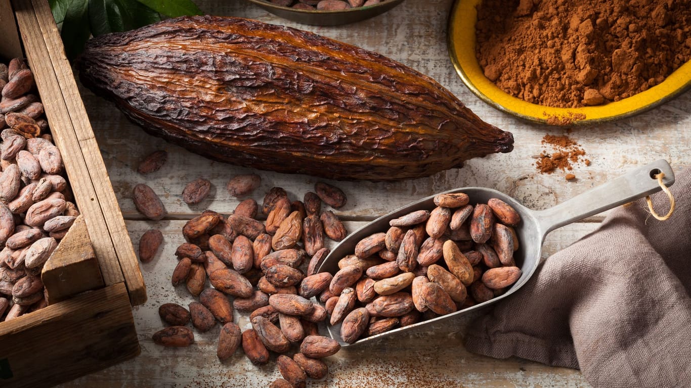 In seiner ursprünglichen Form ist Kakao keineswegs ungesund, sondern sehr vitalstoffreich.