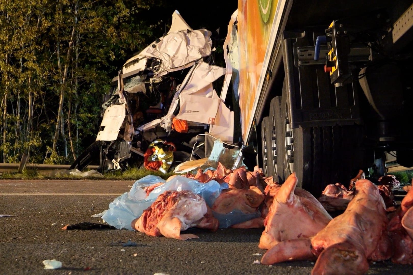 Unfallfahrzeug: Ein mit Schweineköpfen beladener Lastwagen hat große Teile seiner Fracht auf der Fahrbahn verteilt.