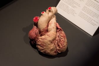 Herz in einer Ausstellung (Symbolbild): Eine Frau in England kann ihr echtes Herz im Museum besuchen.