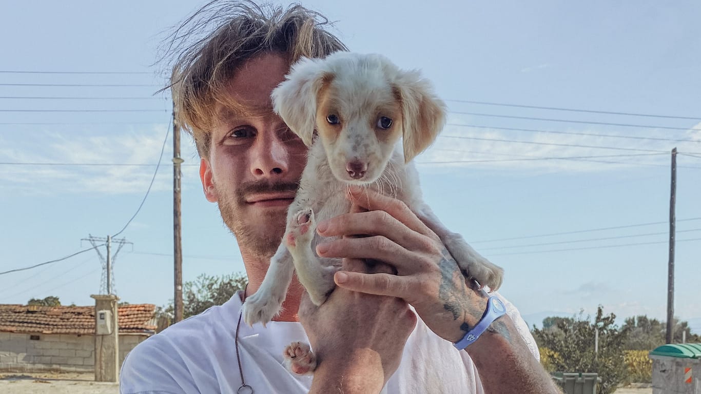 Tiktok-Star Malte Zierden mit einem Straßenhund-Welpen: Der Influencer und Content Creator engagiert sich für den Tierschutz.
