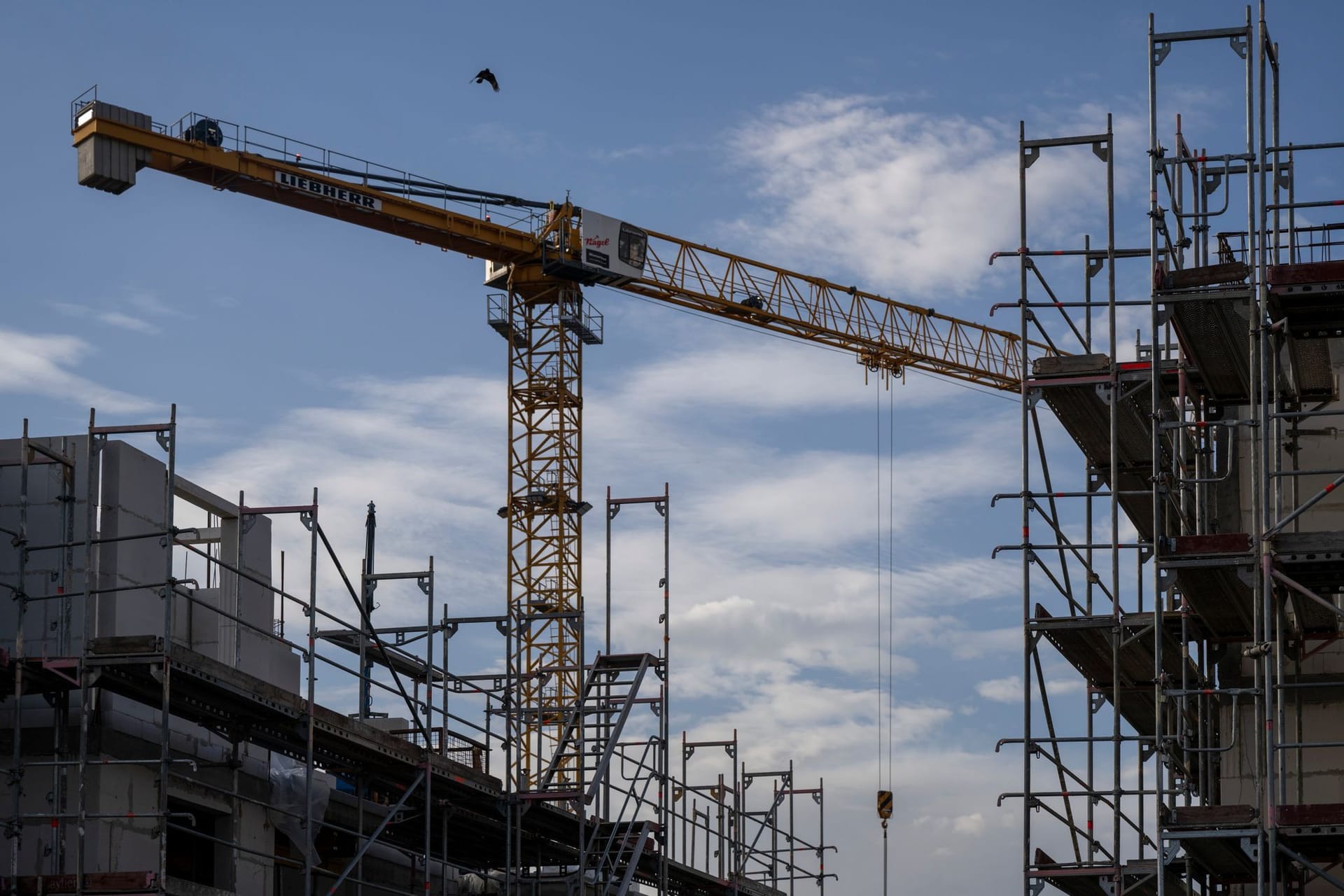 Ein Turmdrehkran ragt in den Himmel auf einer Baustelle zwischen neu errichteten Wohnhäusern (Symbolbild): Am meisten sind Mehrfamilienhäuser vom Einbruch der Baugenehmigungen betroffen. Ein Turmdrehkran ragt in den Himmel auf einer Baustelle zwischen neu errichteten Wohnhäusern (Symbolbild): Am meisten sind Mehrfamilienhäuser vom Einbruch der Baugenehmigungen betroffen.