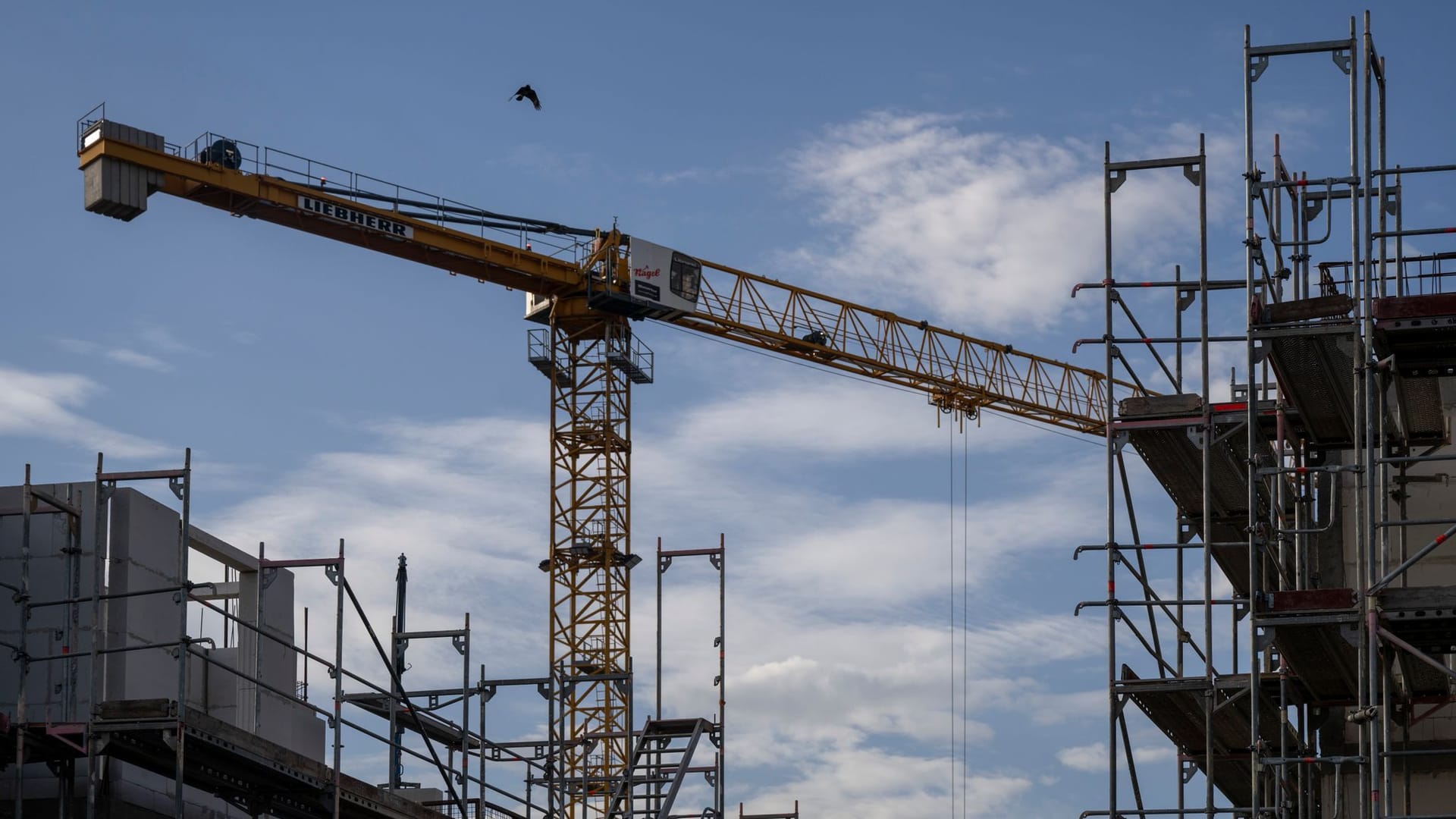 Ein Turmdrehkran ragt in den Himmel auf einer Baustelle zwischen neu errichteten Wohnhäusern (Symbolbild): Am meisten sind Mehrfamilienhäuser vom Einbruch der Baugenehmigungen betroffen. Ein Turmdrehkran ragt in den Himmel auf einer Baustelle zwischen neu errichteten Wohnhäusern (Symbolbild): Am meisten sind Mehrfamilienhäuser vom Einbruch der Baugenehmigungen betroffen.
