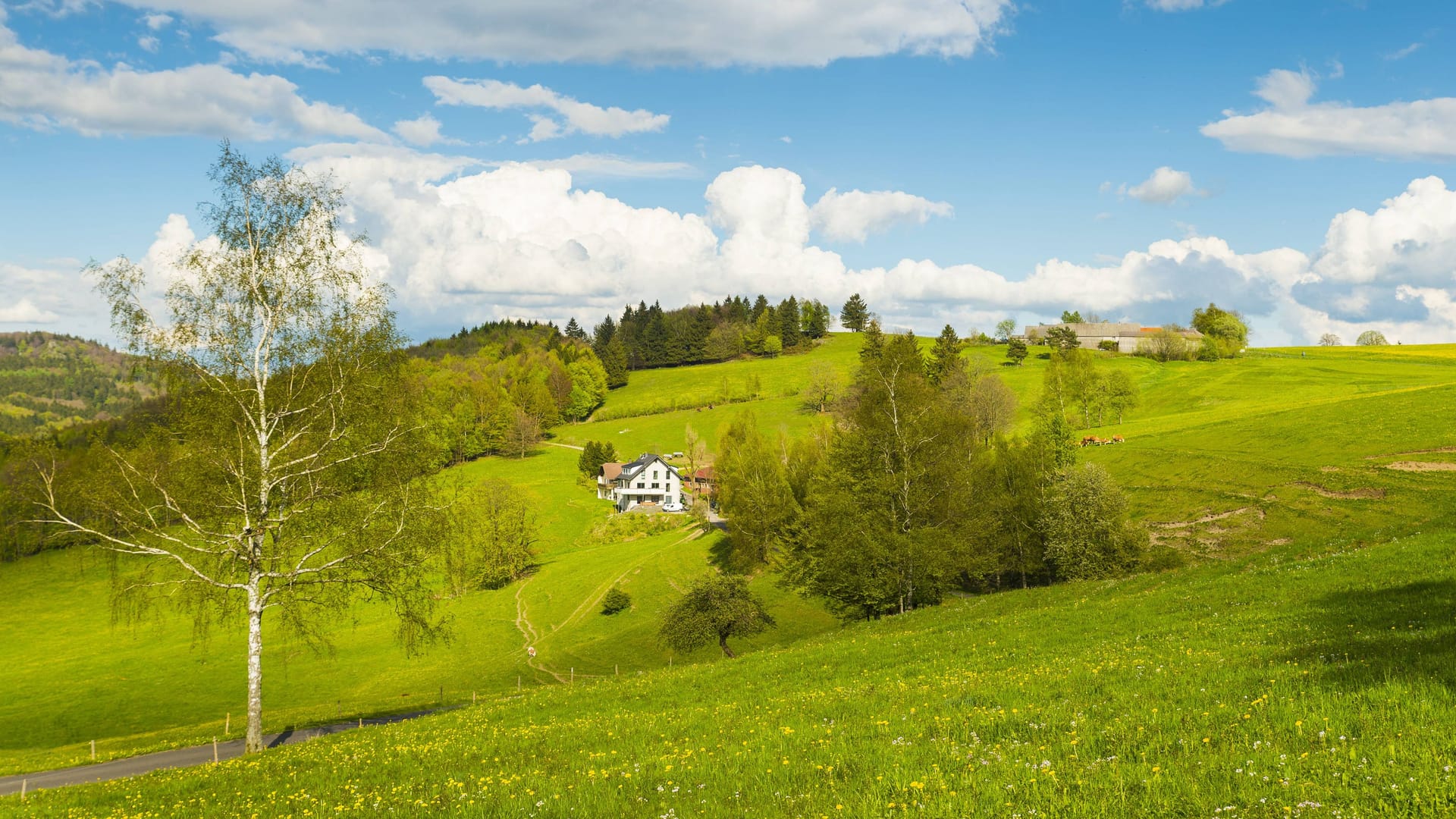 Sommer in der Röhn: Hier ist es nicht nur besonders ruhig, sondern auch günstig.